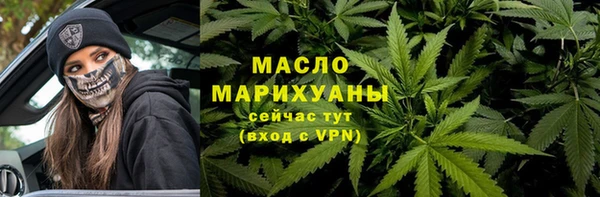 ECSTASY Тайга