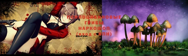 ALPHA PVP Богородицк